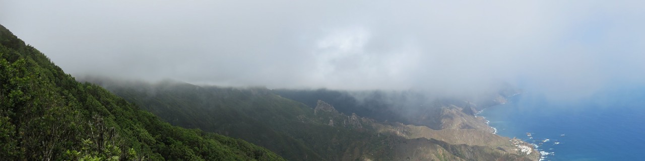 Rund um den Chinobre - Anaga - Teneriffa