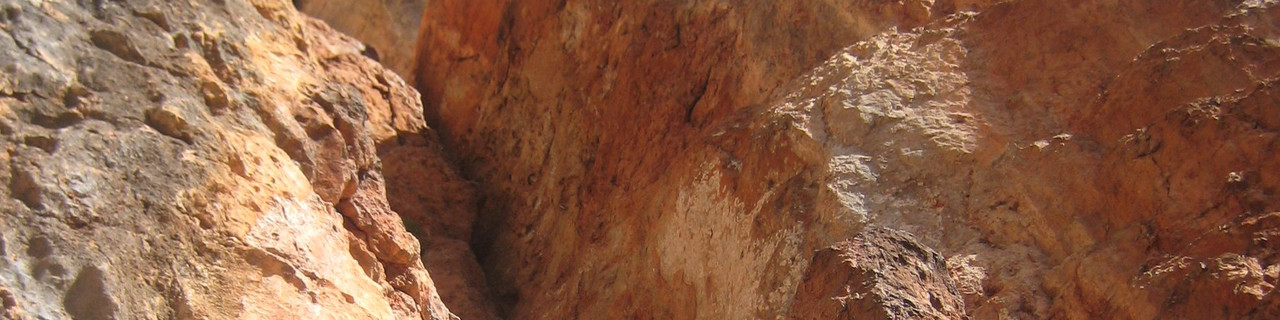 Feuervogel - Rote Wand - Grazer Bergland