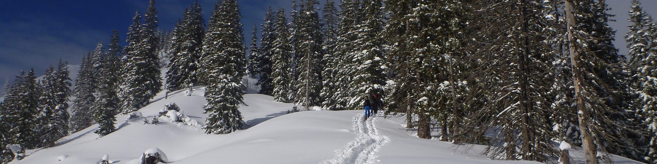 Gscheideggkogel von Radmer - Ennstaler Alpen