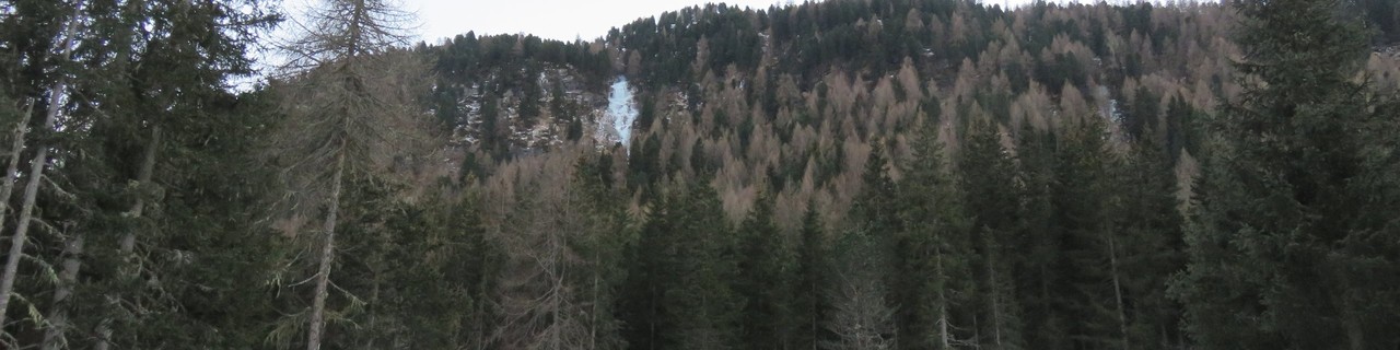 Triestennöckl Eisfall - Reintal