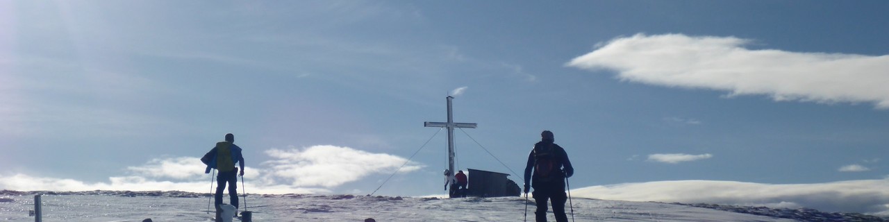 Lärchkogel von Hinterlobming - Gleinalpe