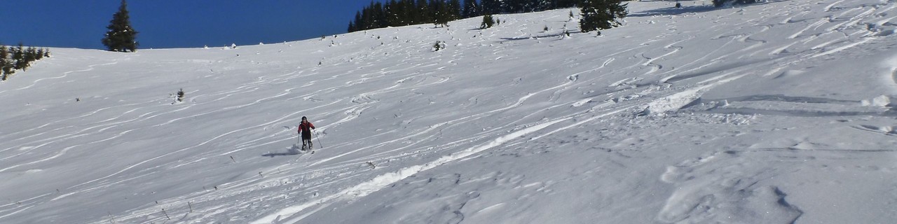 Wildeggkogel vom Krumeckgraben - Gleinalpe