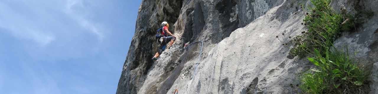 Tigerauge - Breite Wand - Grazer Bergland