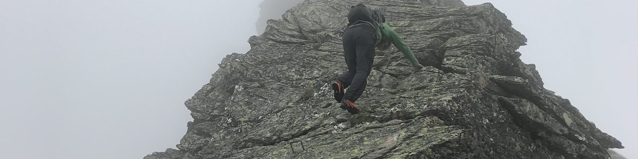 Hochwildstelle aus dem Sattental - Niedere Tauern