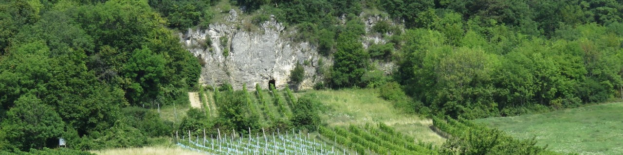 Gumpoldskirchner Klettersteig - Wienerwald