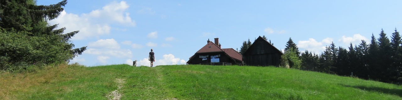 Hochanger aus dem Zlattengraben - Gleinalpe