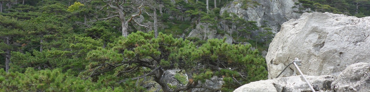 Mödlinger Klettersteig - Wienerwald