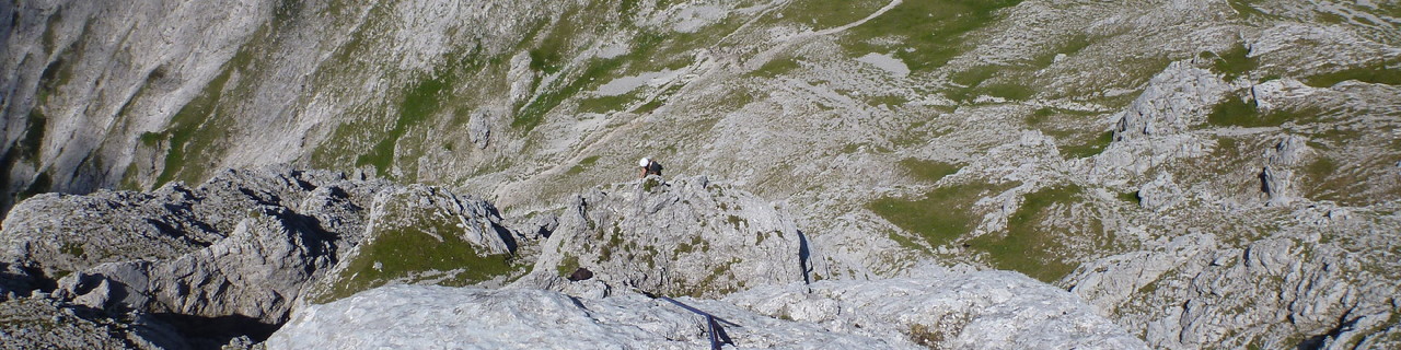 Schritte zum Gipfel (NW Rippe) - Admonter Kalbling - Gesäuse