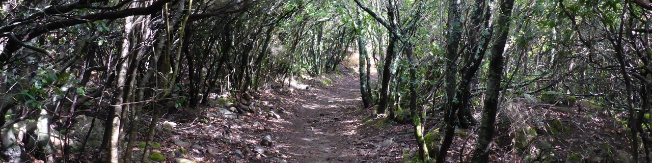 Monte Santu - Sari - Korsika