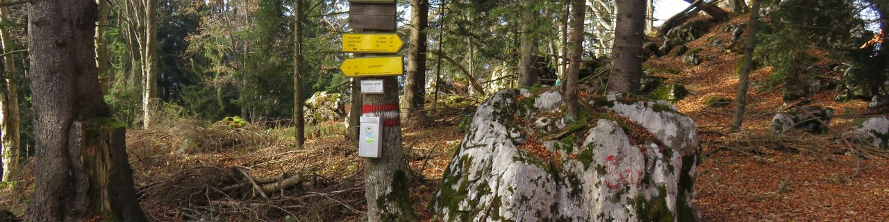 Schiffall und Kreuzkogel von Mixnitz - Gleinalpe Ausläufer