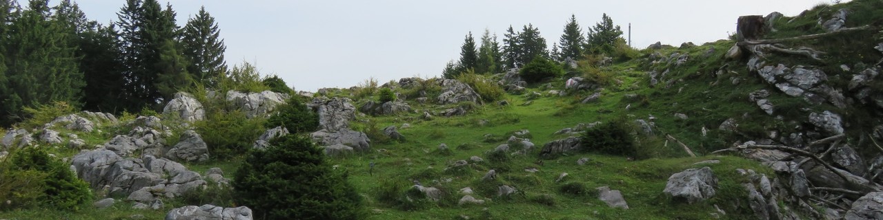 Rote Wand von Mixnitz - Grazer Bergland