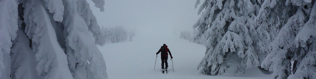 Eiblkogel von Hinterlobming - Gleinalpe