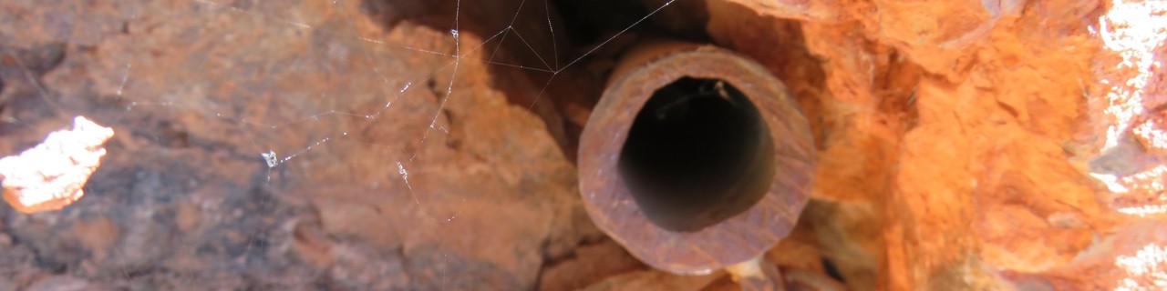 Röhrlsalat - Rote Wand - Grazer Bergland