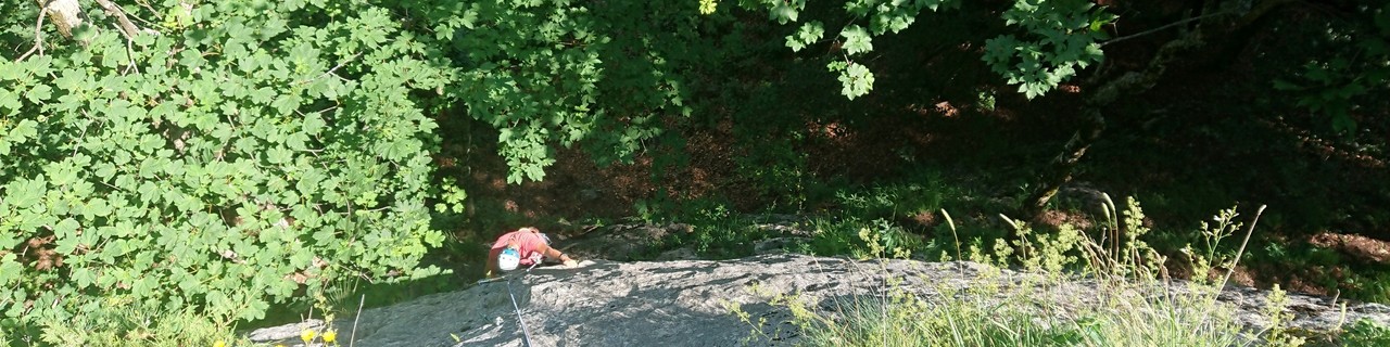 Herbstzeitlose - Rote Wand - Grazer Bergland