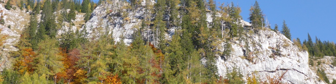 Ausweichkogel - Hochschwab