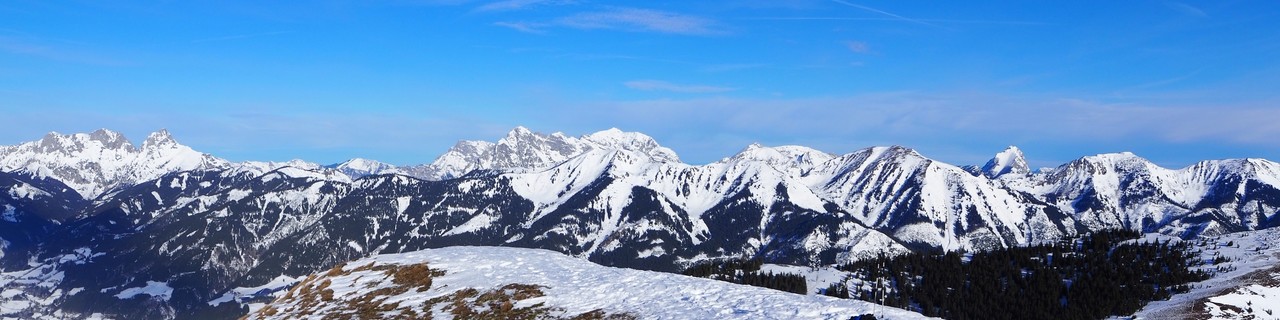 Silberling aus dem Liesingtal - Triebener Tauern
