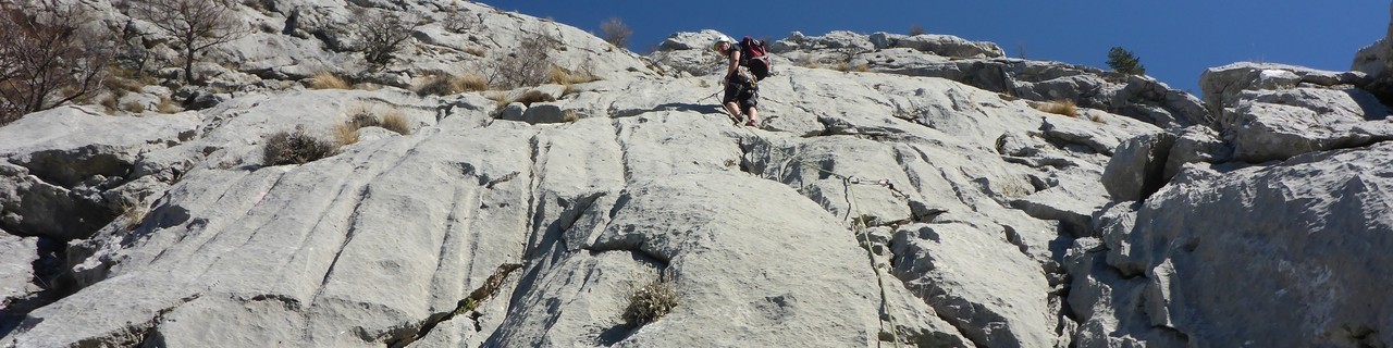 Radoznali Muflon - Osičine-Kuranik - Biokovo