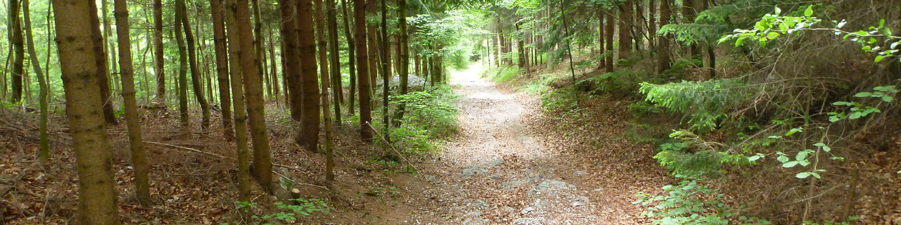 Schöckl vom Falschgraben - Grazer Bergland