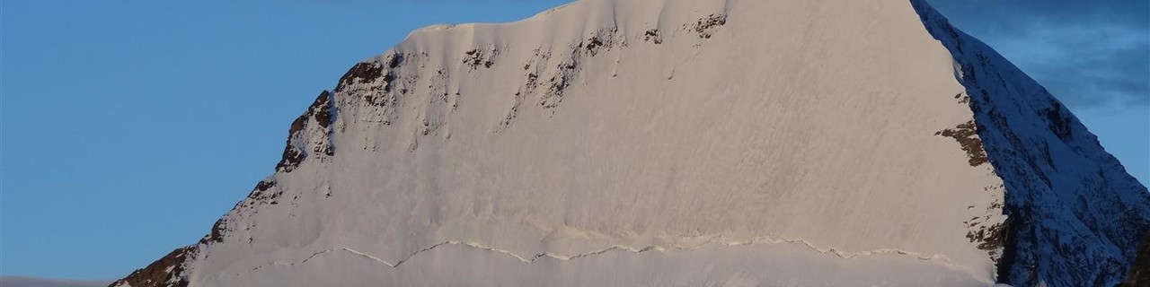 Mönch NO Wand - Berner Alpen