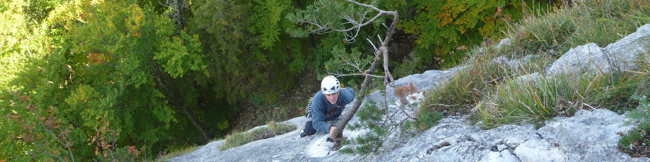 Dickschädlat - Rampenwulst - Grazer Bergland