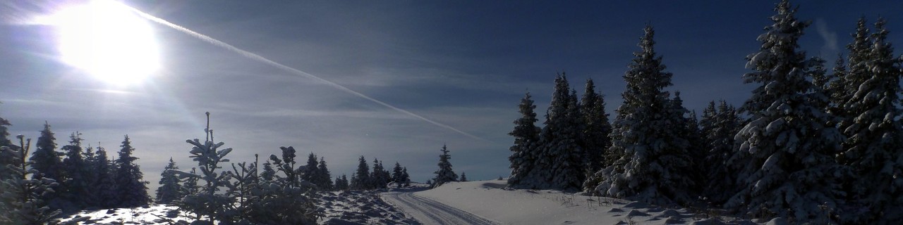 Stuhleck vom Pfaffensattel - Randgebirge östlich der Mur