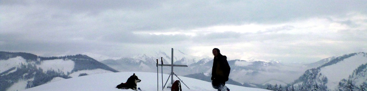 Donnersalpe von der Großfölz - Eisenerz