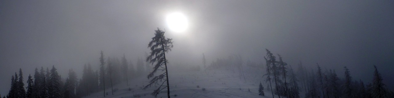 Thalerkogel vom Rötzgraben - Trofaiach