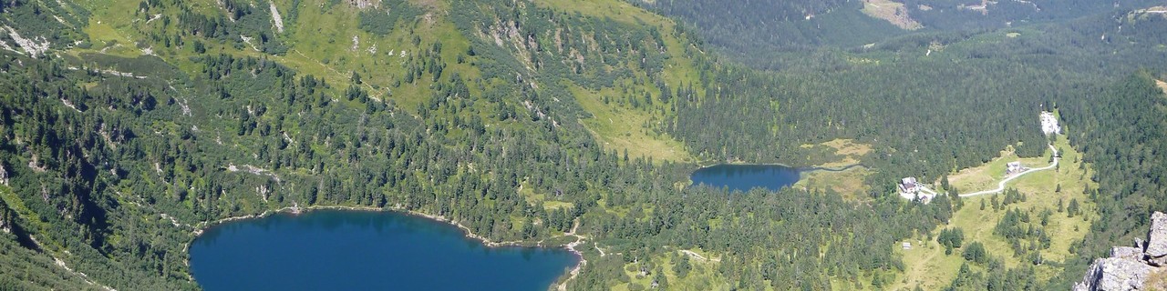 Großer Hengst von der Edelrautehütte - Niedere Tauern