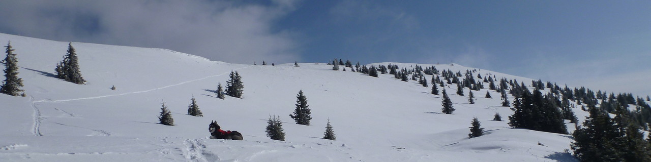 Großer Schober vom Liesingtal - Triebener Tauern