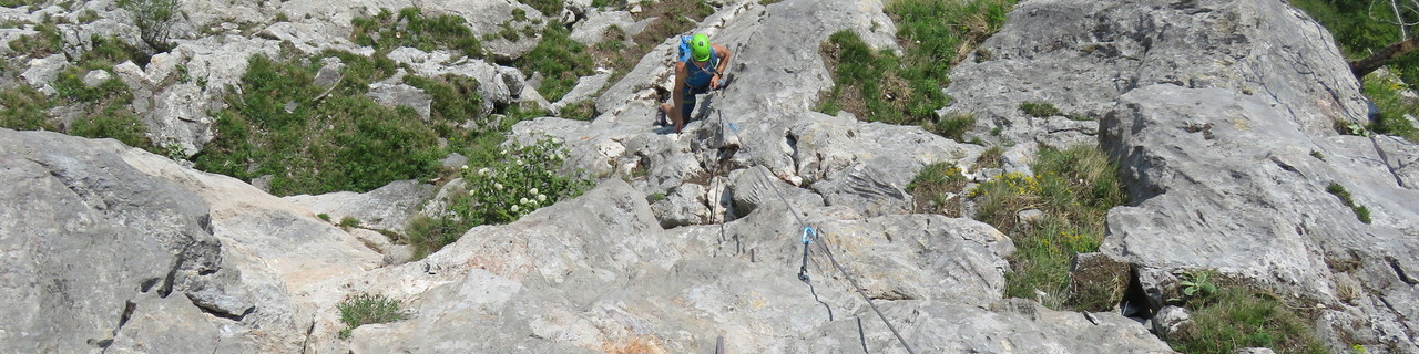 Invalidenleiter - Ratengrat - Grazer Bergland