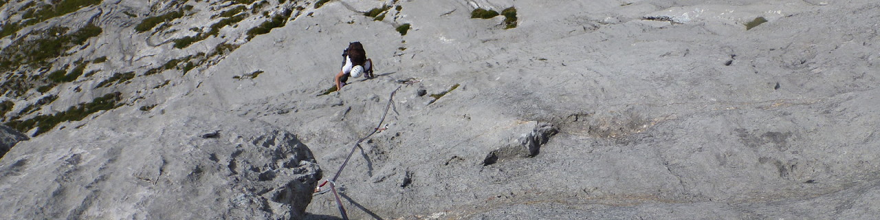Plattenspieler - Festkogel - Gesäuse