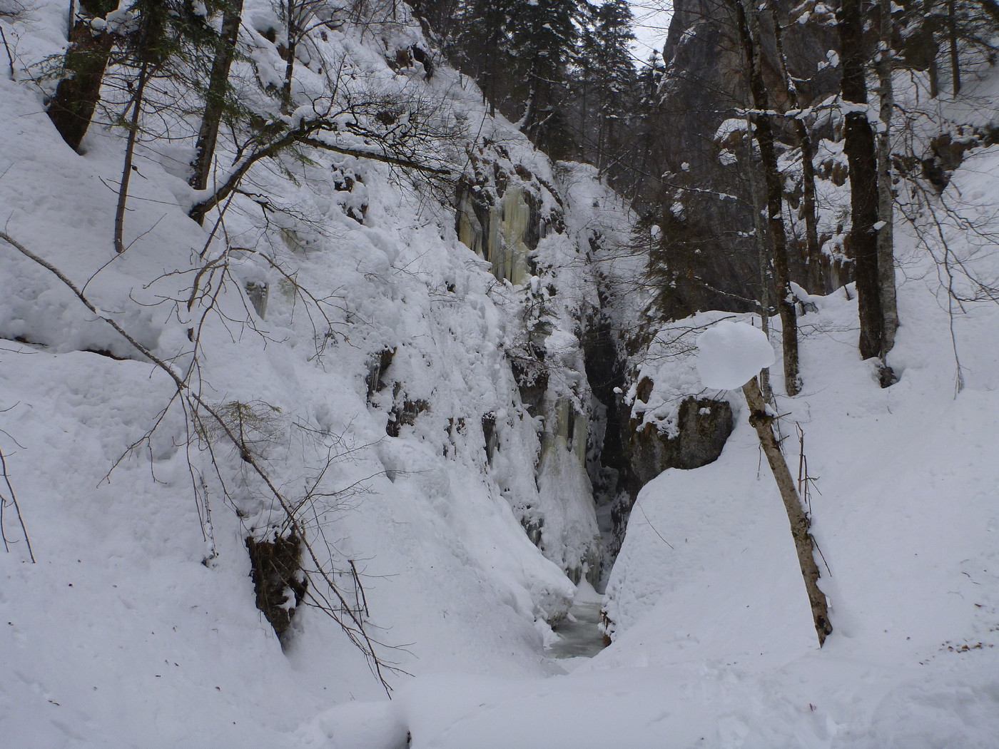 Rosenauer Eisfall - Eisklettern - - GBL Gebirge Totes | Hengstpass