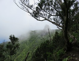 Rund um den Chinobre - Anaga - Teneriffa