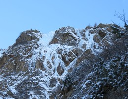 Brunnalm - Defereggental - Vilgratner Berge