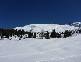 Dürrenstein von der Plätzwiese - Pragser Dolomiten