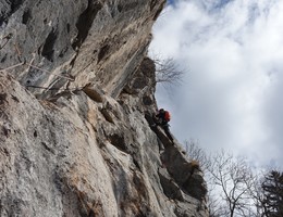 Querulant - Ratengrat - Grazer Bergland