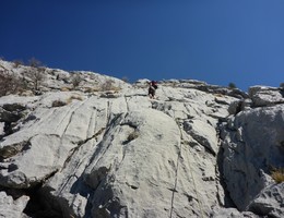 Radoznali Muflon - Osičine-Kuranik - Biokovo