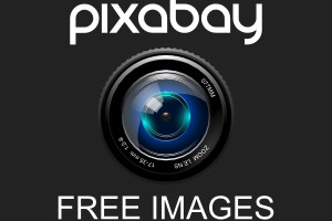 Ausgewählte Fotos auf Pixabay