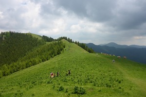 Bärenschützklamm Hochlantsch Rote Wand - Grazer Bergland