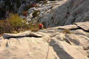 Corgi (Mali Pas) - Bukovac - Biokovo