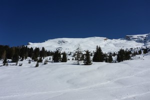 Dürrenstein von der Plätzwiese - Pragser Dolomiten