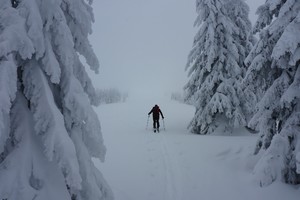 Eiblkogel von Hinterlobming - Gleinalpe