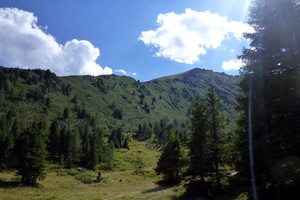 Großer Hengst von der Edelrautehütte - Niedere Tauern