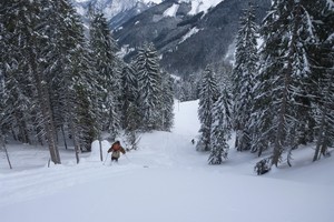 Gscheideggkogel von Radmer - Ennstaler Alpen