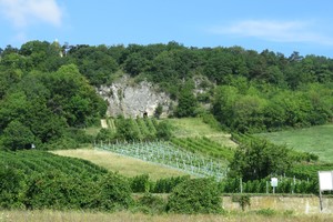 Gumpoldskirchner Klettersteig - Wienerwald