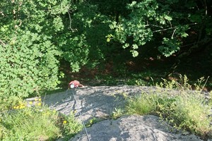 Herbstzeitlose - Rote Wand - Grazer Bergland Herbstzeitlose - Rote Wand - Grazer Bergland