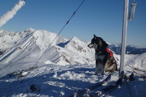 Hochschwung von Bretstein - Niedere Tauern