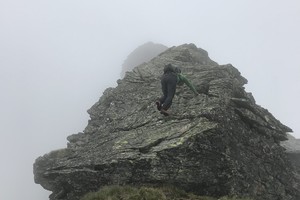 Hochwildstelle aus dem Sattental - Niedere Tauern