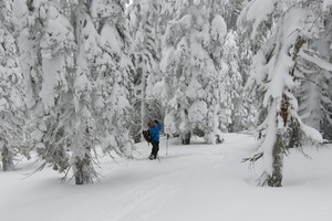 Lahngangkogel - Gesäuse - Ennstaler Alpen Lahngangkogel - Gesäuse - Ennstaler Alpen