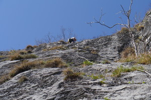 Land des Lächelns - Röthelstein SO Sporn - Grazer Bergland Land des Lächelns - Röthelstein SO Sporn - Grazer Bergland